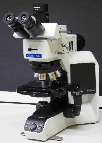 Optical Microscope